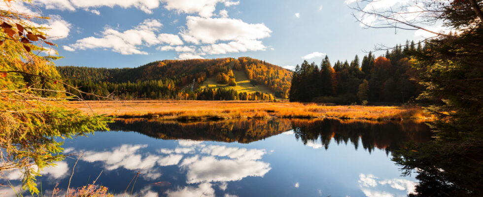 This place in France looks like Canada it offers a