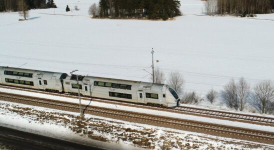 Threatening voice to cut wild accidents in train traffic