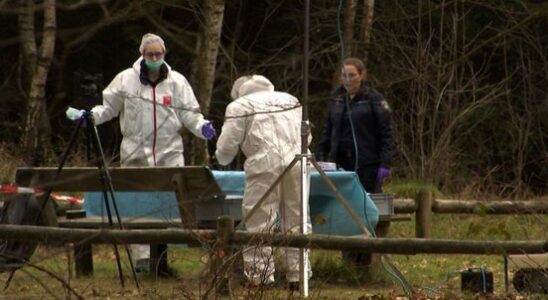 Two men convicted for removing body from Veenendaal drug lab