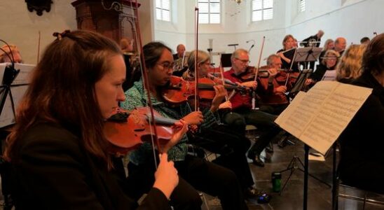 UMA Chamber Orchestra celebrates its 30th anniversary with a concert