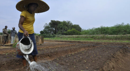 UN concerned about lack of funding for small scale farmers to