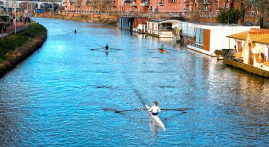 Utrecht rowing clubs are longing for a lane without rose