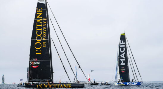 Vendee Globe 2024 live ranking and map