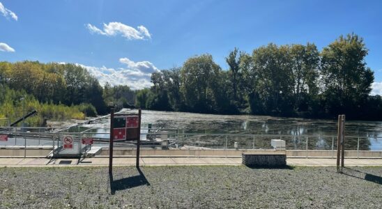 Waste water revegetation… Carcassonne a model in terms of ecology