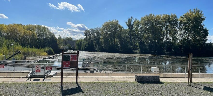 Waste water revegetation… Carcassonne a model in terms of ecology