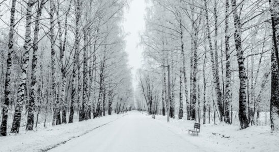 Weather on this date France enters meteorological winter and changes