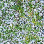 White vinegar is more effective against weeds if you add