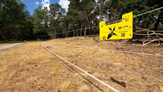 Wolf fence not popular with livestock farmers Many shepherds almost