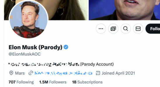 X is developing a new label for parody accounts