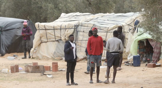 arrest of several members of an NGO helping migrants