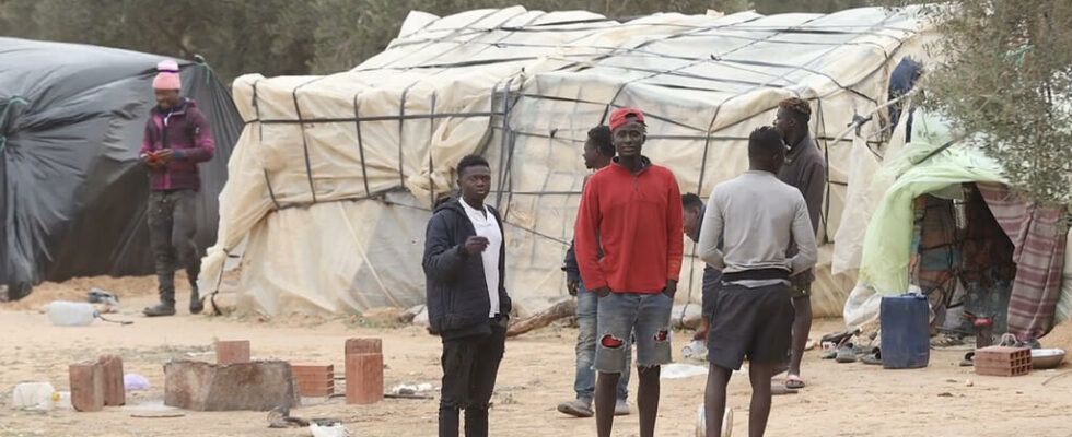 arrest of several members of an NGO helping migrants