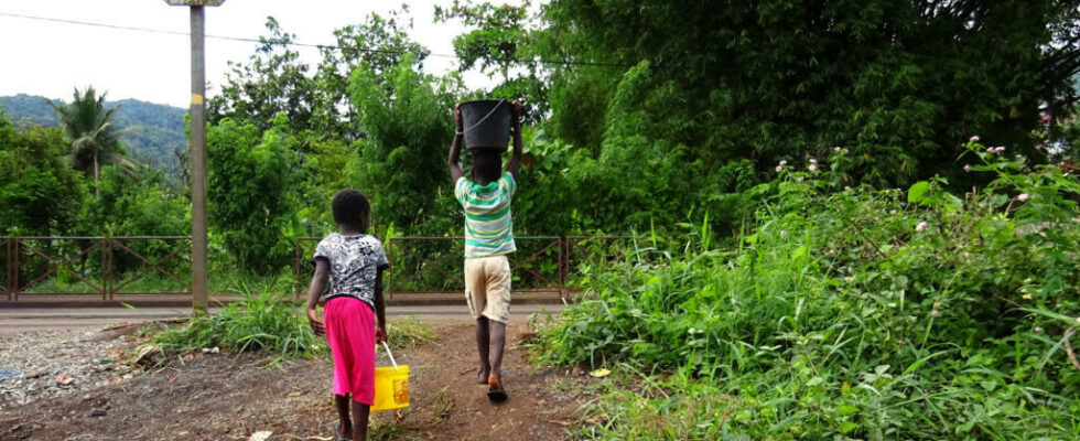 children are most exposed to environmental damage warns the Defender