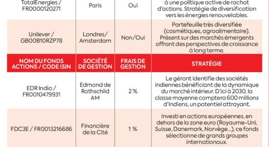 our advice for building a well diversified portfolio – LExpress