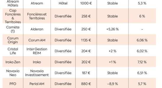 our four tips for investing peacefully in stone – LExpress