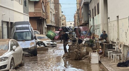 significant reinforcements of the army and police in the disaster