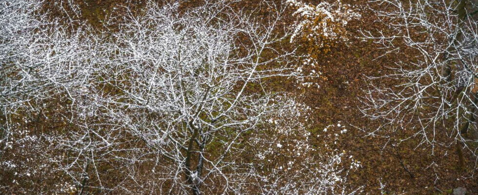 snow returns at low altitude