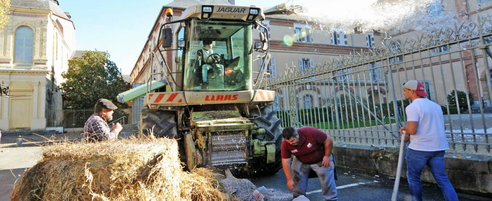 the Minister of Agriculture announces simplification measures