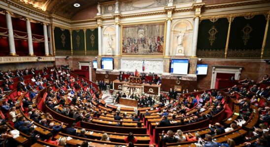 the National Assembly creates a France Palestine friendship group