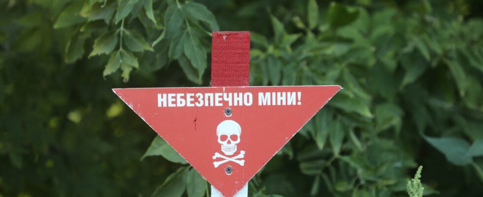 the United States will supply antipersonnel mines to kyiv –