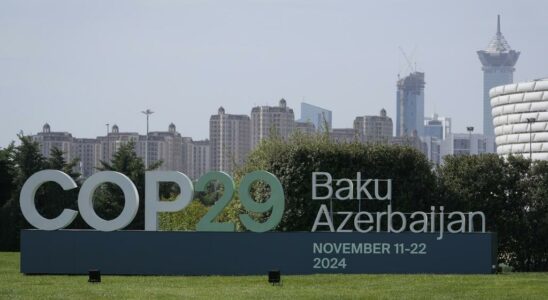 the challenges of the Baku negotiations for the African continent