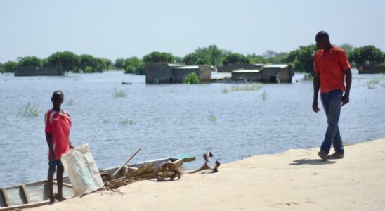 the construction company of the Walia dike in Ndjamena complains