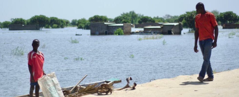 the construction company of the Walia dike in Ndjamena complains