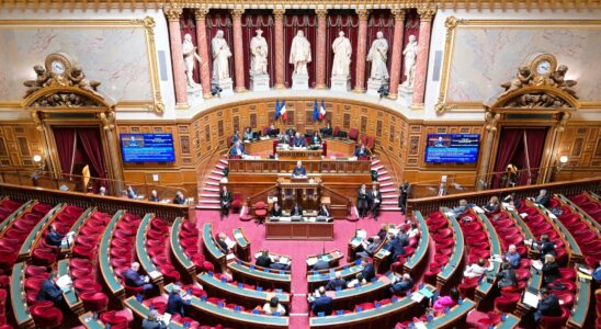 the text largely adopted in the Senate – LExpress