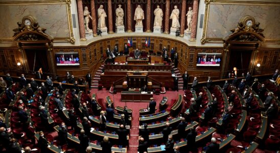 this shock measure voted by the Senate – LExpress