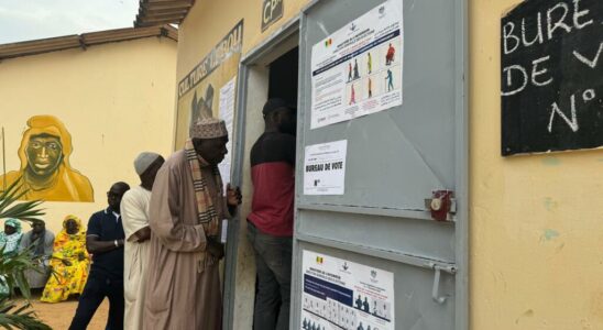 voters elect their deputies