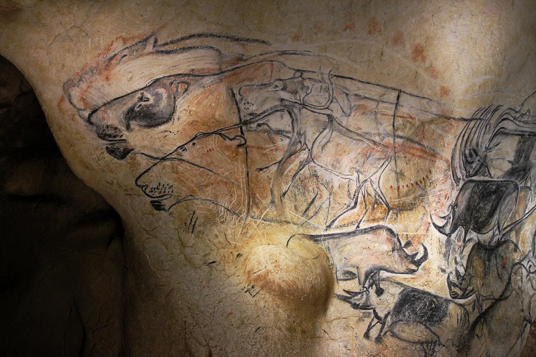 Unleashed lions and rhinos. Grotte du Pont d'Arc (copy of the Chauvet cave).