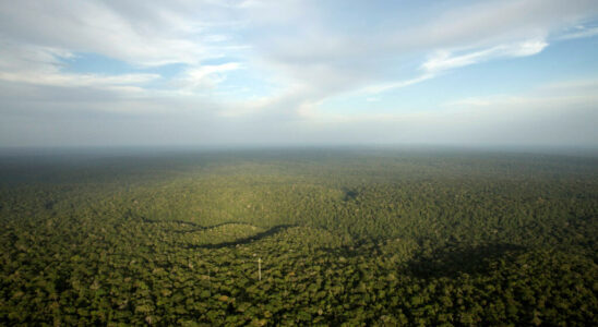 1734885835 the first photos of Massacos an uncontacted indigenous people