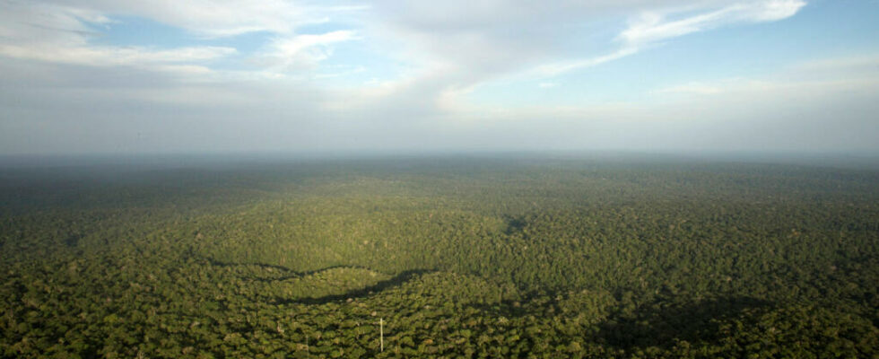 1734885835 the first photos of Massacos an uncontacted indigenous people