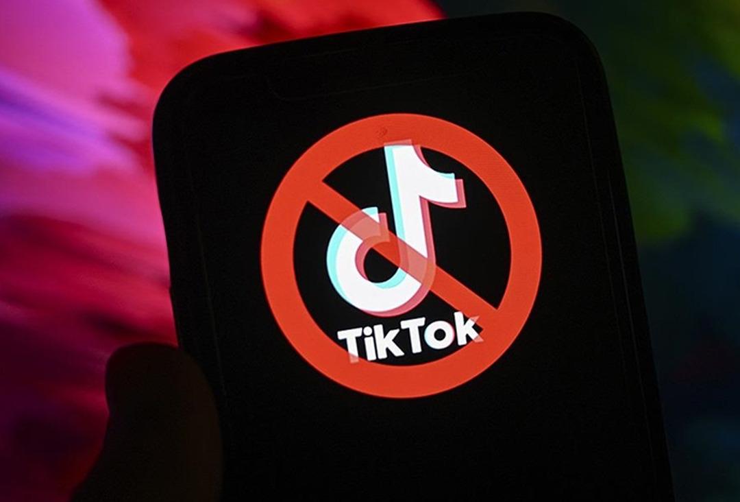 1735003827 198 Albanian Prime Minister announced TikTok is being blocked Its just