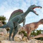 A surprising discovery… What was found in these dinosaur droppings