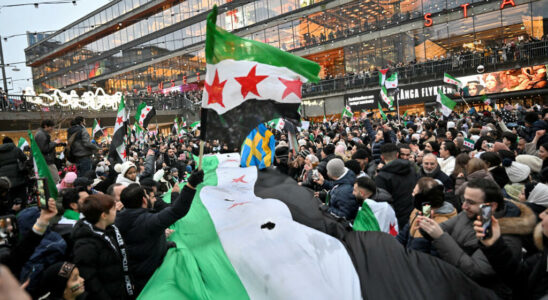 After the fall of Bashar al Assad the joy of Syrians