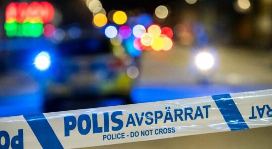 Alarm about armed man in central Stockholm