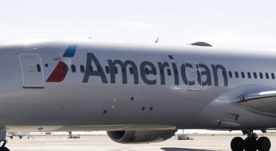 American Airlines why were flights suspended in the United States