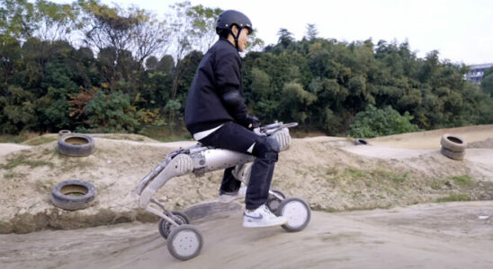 An incredible wheeled robot dog model has been prepared Video