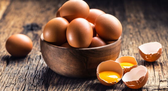 Are eggs bad for our cholesterol levels To find out