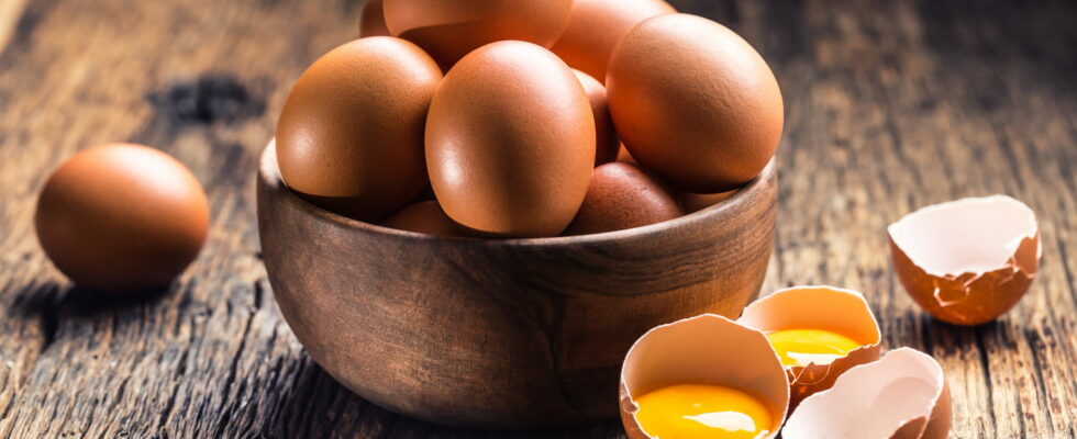 Are eggs bad for our cholesterol levels To find out