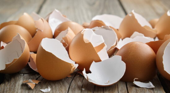 Boil eggshells in a pan its very clever and saves