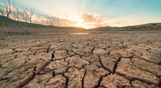 COP16 on desertification ends without reaching agreement on the central