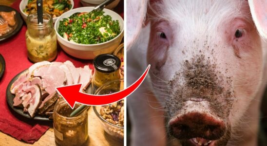 Common myths about Christmas ham that many people believe