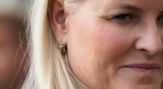 Crown Princess Mette Marit A tough year