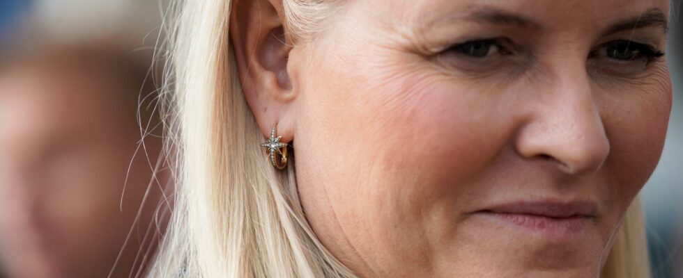 Crown Princess Mette Marit A tough year