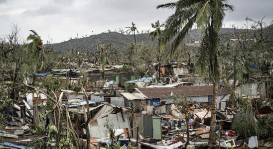 Cyclone in Mayotte an epidemic is for the moment not