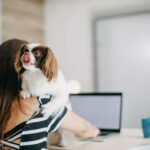 Do dogs belong in the office The pet at work