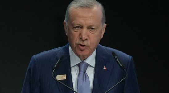 Erdogan increases pressure on Damascus by showing his support for