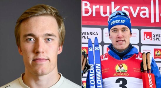 Everything about Emil Danielsson Partner age and brother