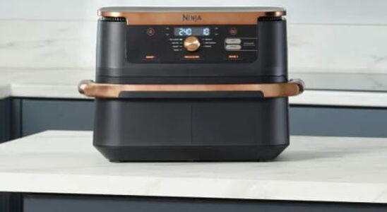 Exclusive promotion on Ninja air fryers for Black Friday